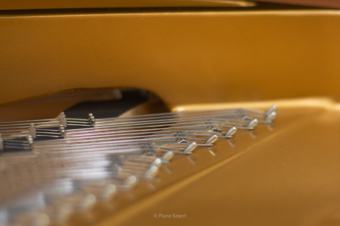 Kawai GL-30 - Excellence - Afbeelding 15