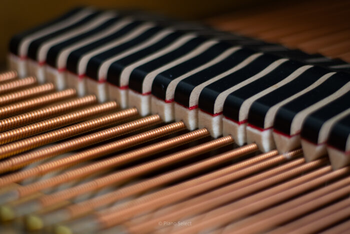 Kawai GL-30 - Excellence - Afbeelding 14