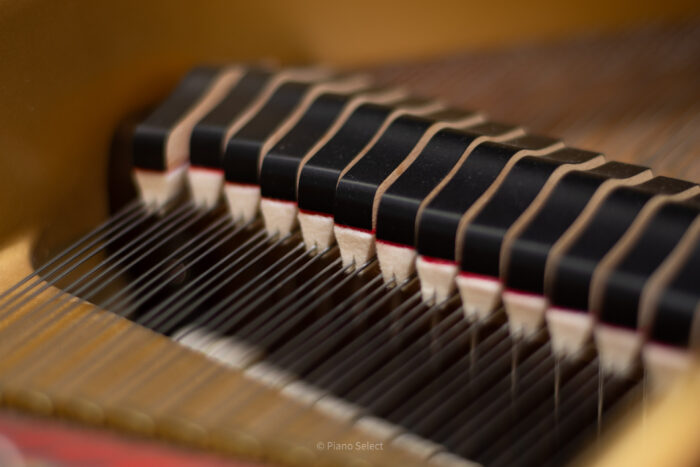 Kawai GL-30 - Excellence - Afbeelding 10
