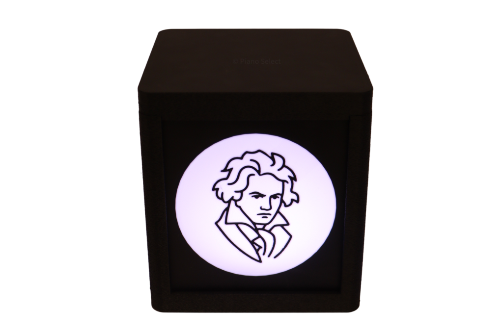 02. Marcato Designpanelen Rond Beethoven